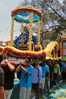 Sr Milagros 03ago al 10ago