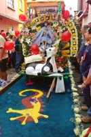 Niño Jesús 22jun al 29jun